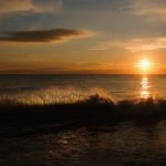 A Summer Morning By The Sea